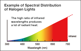 spectral distribution of halogen light bulb